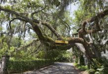 Beaufort named BEST Small Town in South Carolina