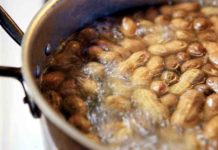 Boiled Peanuts: A tasty southern treat