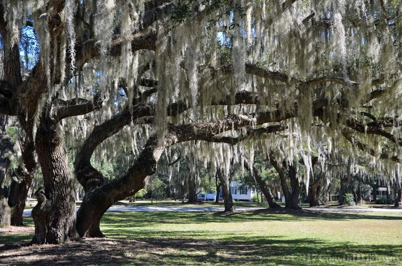 places to visit in beaufort sc