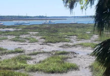 Pluff Mud: It’s in our souls