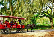 Downtown Beaufort carriage tour companies offer ‘Locals Free Days’ Downtown Beaufort carriage tour companies give 'Locals Free Days'