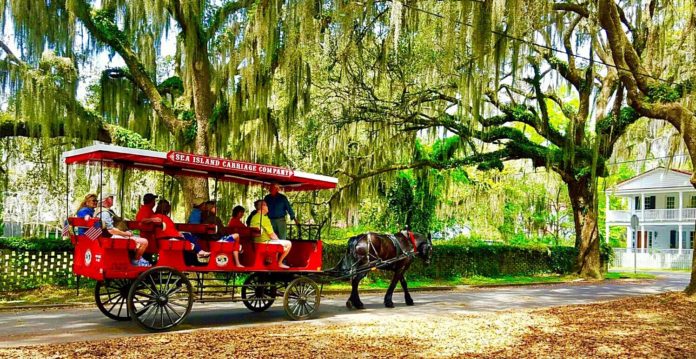 Downtown Beaufort carriage tour companies give 'Locals Free Days'