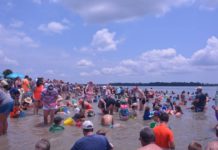 Shark tooth treasure hunt coming back to Port Royal