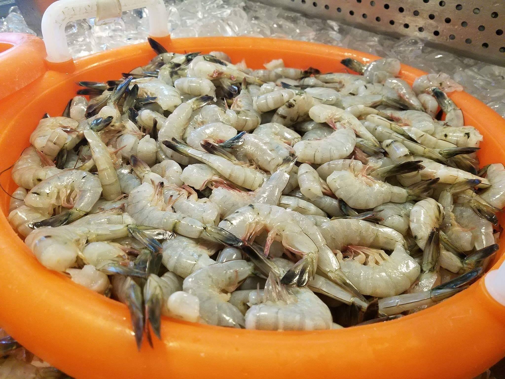 Lowcountry Life: A history of shrimping in Beaufort SC