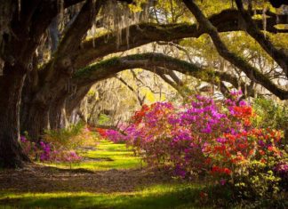 9 reasons we can’t wait until spring arrives in Beaufort