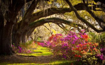 9 reasons we can’t wait until spring arrives in Beaufort