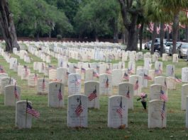 Beaufort National Cemetery seeks Memorial Day flag volunteers Beaufort National Cemetery needs Memorial Day flag volunteers