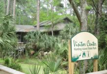 Big changes, improvements coming to Hunting Island Visitor Center Big changes, improvements coming to Hunting Island Visitor Center