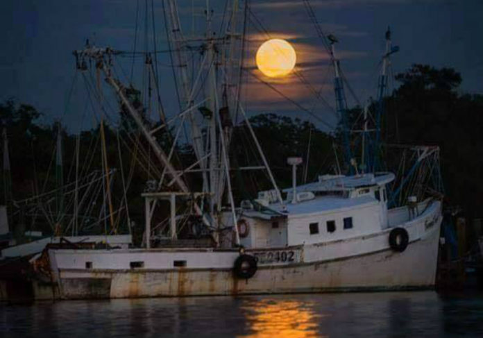 Rare 'blue flower moon' will appear over Beaufort on Saturday