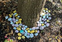 Local Daisy troop spreads love in Port Royal Local Daisy troop spreads love in Port Royal