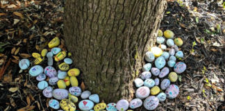 Local Daisy troop spreads love in Port Royal Local Daisy troop spreads love in Port Royal