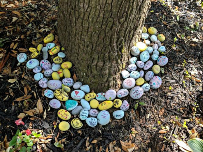 Local Daisy troop spreads love in Port Royal