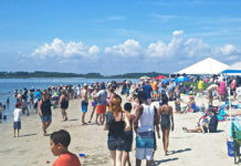 Shark tooth hunt draws thousands to Port Royal Shark tooth hunt draws thousands to Port Royal