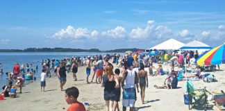 Shark tooth hunt draws thousands to Port Royal Shark tooth hunt draws thousands to Port Royal