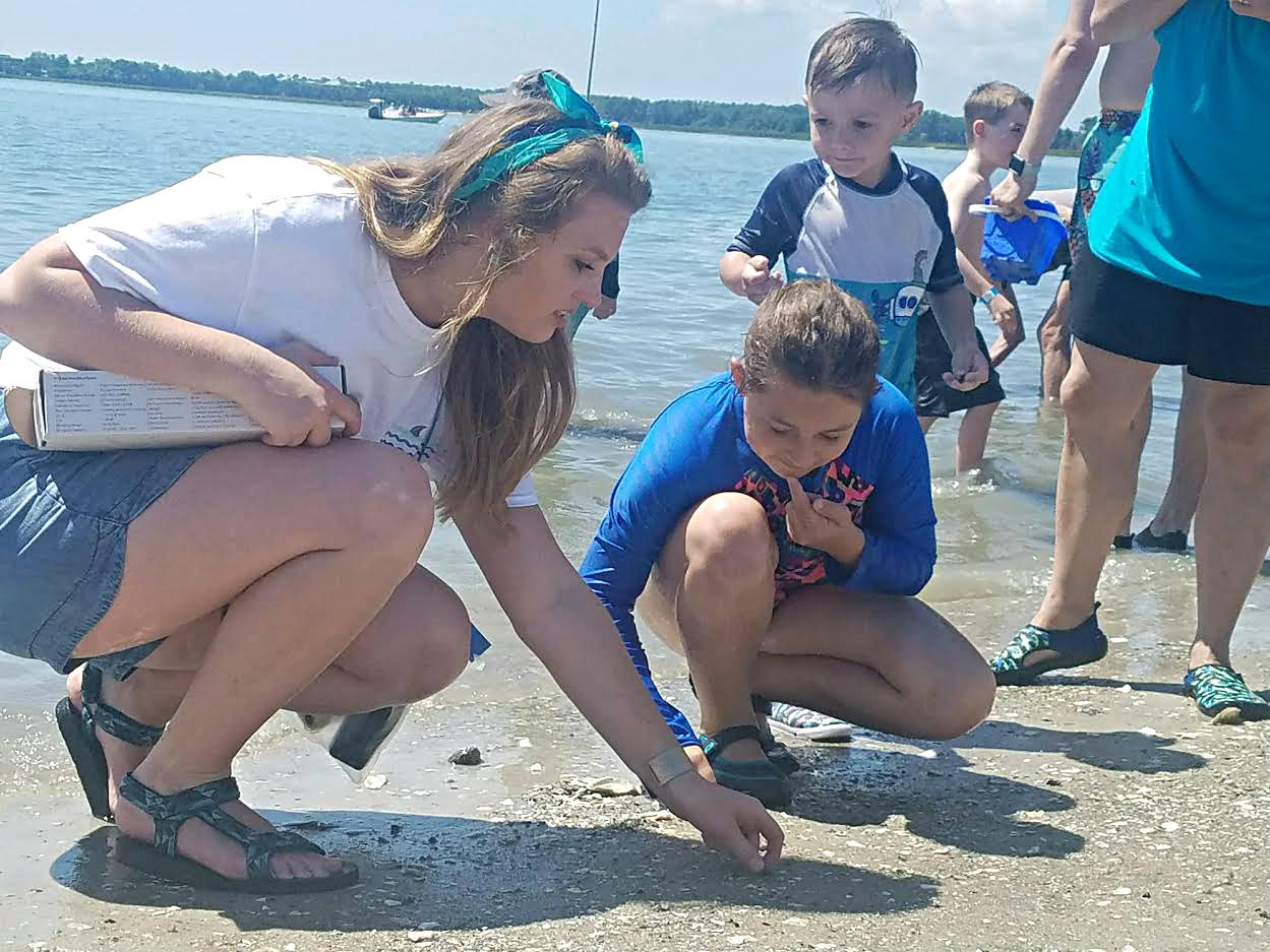 Shark tooth hunt draws thousands to Port Royal