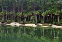 9 must see spots inside Hunting Island State Park