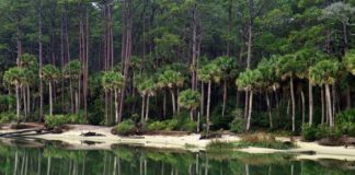 9 must see spots inside Hunting Island State Park