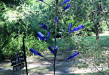 Lowcountry Life: The legend of the bottle tree Lowcountry Life: The legend of the bottle tree