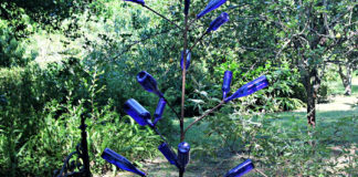 Lowcountry Life: The legend of the bottle tree Lowcountry Life: The legend of the bottle tree