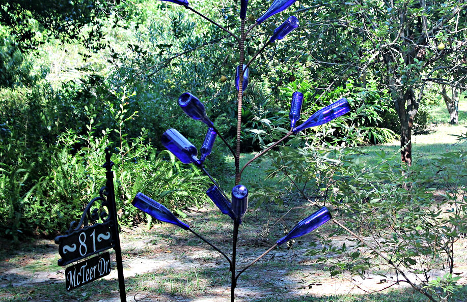 Bottle Tree: Did You Know?