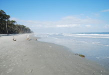 Beaufort’s beaches among cleanest, least polluted in U.S. Beaufort's beaches among cleanest, least polluted, in U.S.