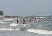 Weekend shark attacks along southeast coast a reminder Weekend shark attacks along southeast coast a reminder