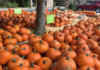 9 reasons we can’t wait until fall in Beaufort 9 reasons we can't wait until fall in Beaufort