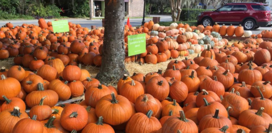 9 reasons we can’t wait until fall in Beaufort 9 reasons we can't wait until fall in Beaufort