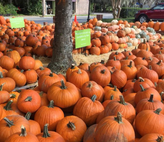 9 reasons we can’t wait until fall in Beaufort 9 reasons we can't wait until fall in Beaufort