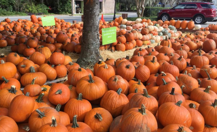 9 reasons we can't wait until fall in Beaufort