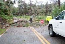 Hunting Island State Park remains closed for cleanup after Dorian Hunting Island State Park remains closed for cleanup after Dorian