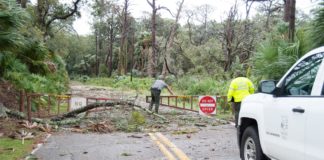 Hunting Island State Park remains closed for cleanup after Dorian Hunting Island State Park remains closed for cleanup after Dorian