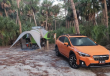 Hunting Island opens 25 new sites at campground Hunting Island opens 25 new sites at campground