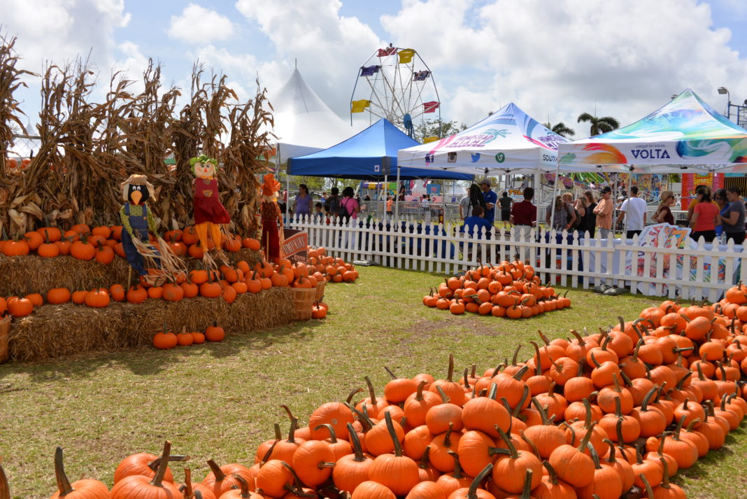 Beaufort area pumpkin patches and fall fun Explore Beaufort SC