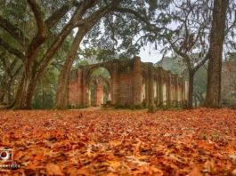 Beaufort named one of best towns to visit in the fall Beaufort named one of best towns to visit in the fall