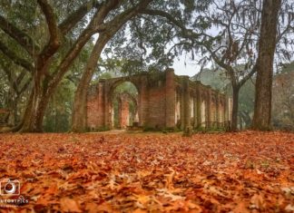 Beaufort named one of best towns to visit in the fall Beaufort named one of best towns to visit in the fall