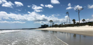 Hunting Island beach renourishment project to move forward Hunting Island beach renourishment project to move forward