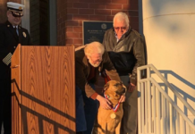 Dog who saved Beaufort man’s life receives medal Dog who saved Beaufort man's life receives medal