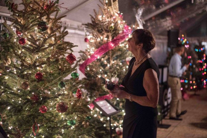 Festival of Trees bringing holiday cheer to downtown Beaufort