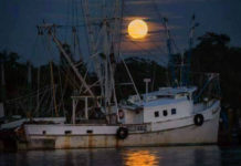 13 full moons, 2 supermoons, blue moon coming in 2020 13 full moons, 2 supermoons, blue moon coming in 2020