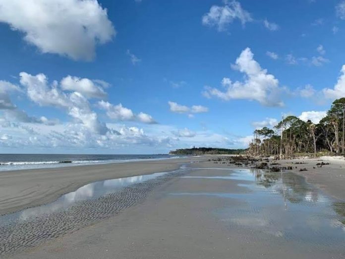 Coastal Living names Hunting Island a 'secret spot to visit'