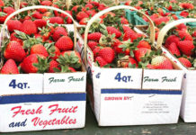 A Taste of Spring: Strawberry season opens early at Dempsey Farms A Taste of Spring: Strawberry season opens early at Dempsey Farms