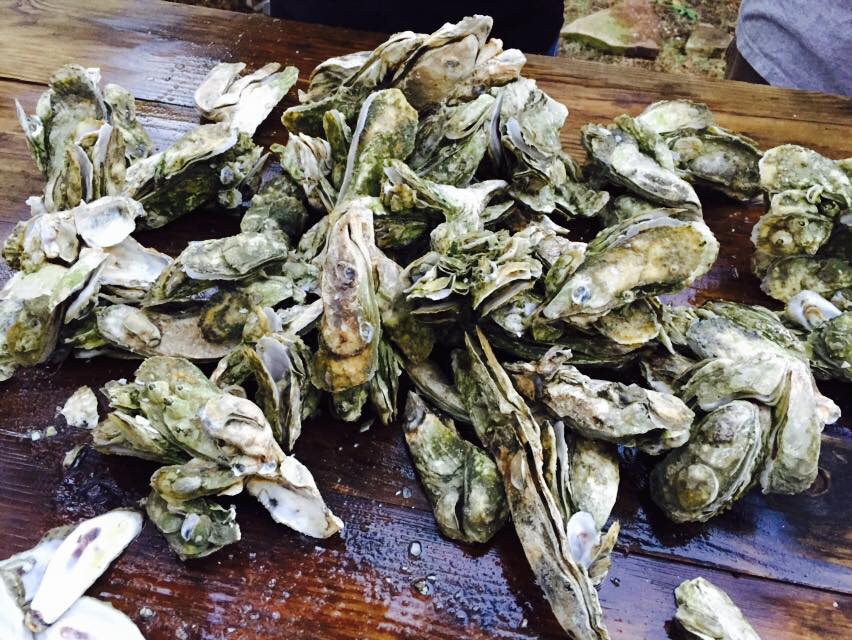 Oyster Roasts: A local Lowcountry tradition