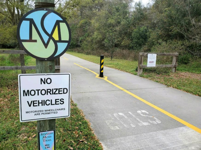 Spanish Moss Trail named best hiking trail in South Carolina