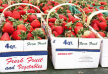 A Taste of Spring: Strawberry season at Dempsey Farms A Taste of Spring: Strawberry season at Dempsey Farms