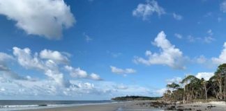 Expect changes, restrictions when Hunting Island reopens Expect changes, restrictions when Hunting Island reopens