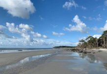 South Carolina to reopen beach access and stores on Tuesday South Carolina to reopen beach access and stores on Tuesday