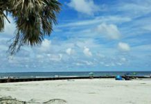 New rules, new hours, more changes as Hunting Island reopens New rules, new hours, more changes when Hunting Island reopens