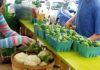 Local Produce: An easy find in Beaufort, SC