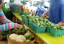 Local Produce: An easy find in Beaufort, SC